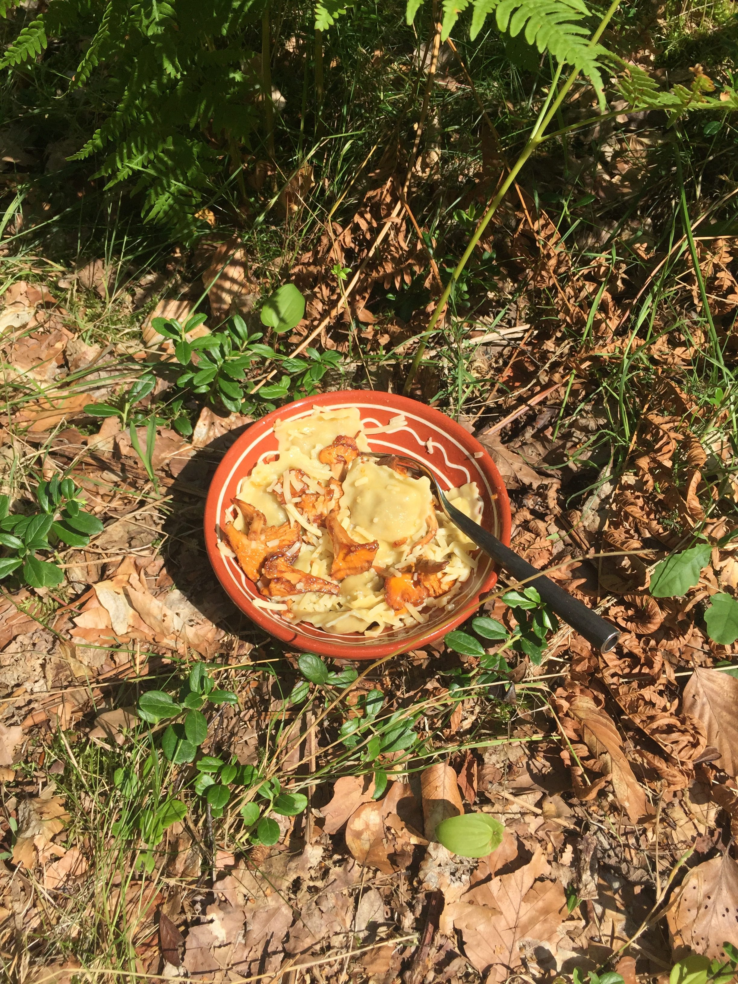 Swedish Ravioli with Chantarelles and a dash of Royalty